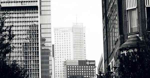 大数据影视软件