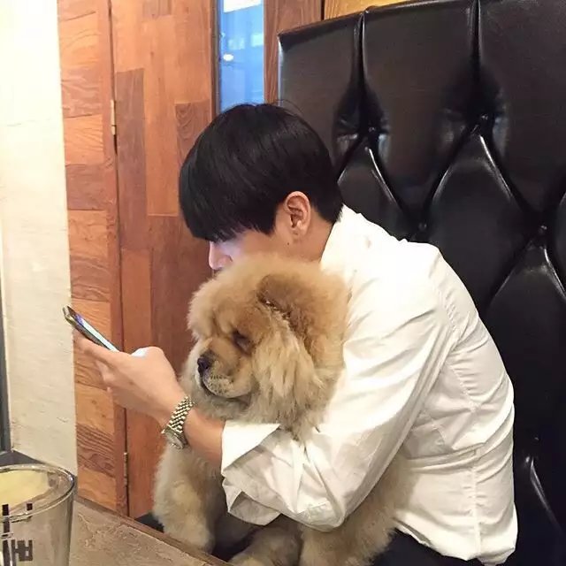 元柔梵蝶