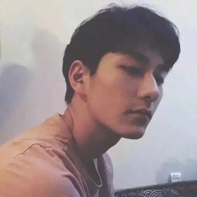 裴环菊苇
