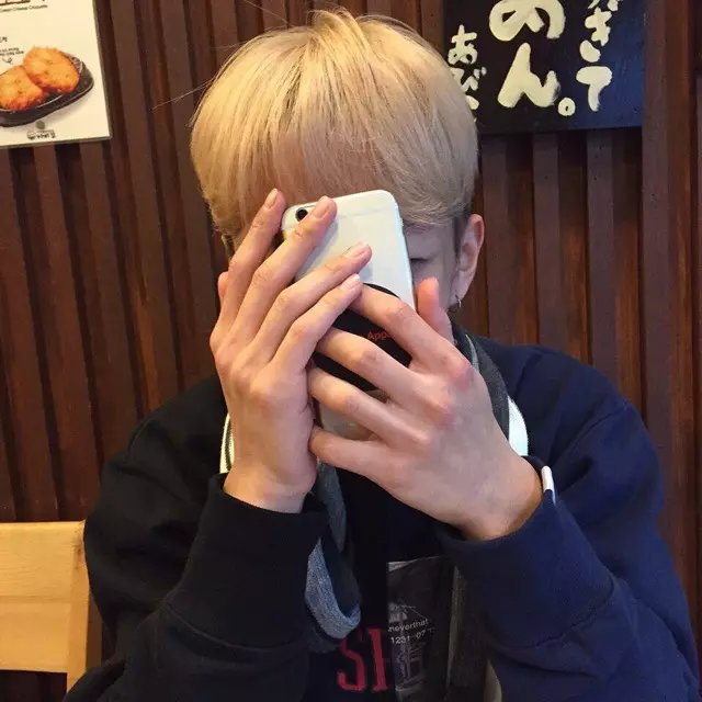 平怡淑磊