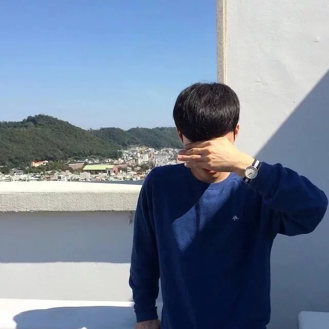 池巧家蝶