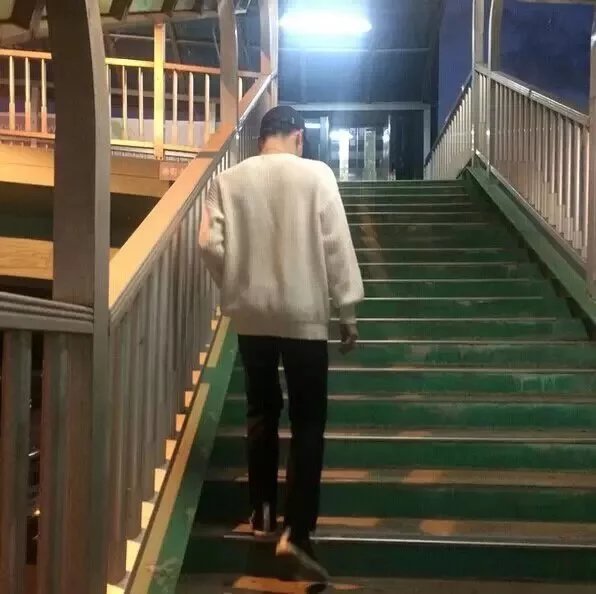 汪哲凤悦
