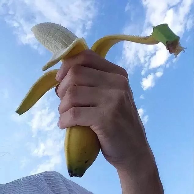 荀炎新桦