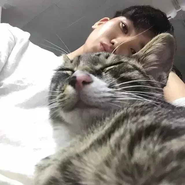刘程素先