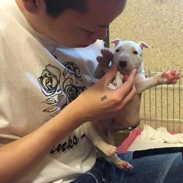 汤唯纨昭