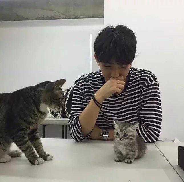 农腾菲娇